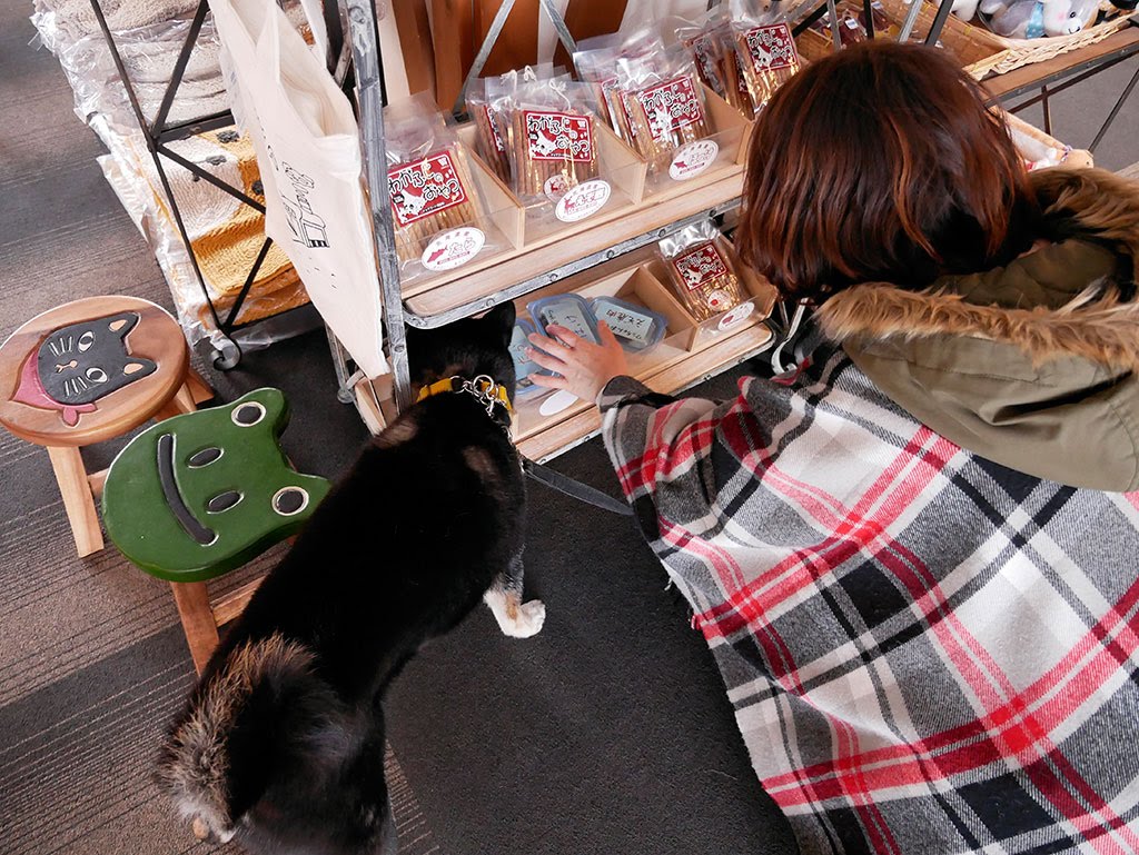 f:id:tsuruten:20210601152219j:plain