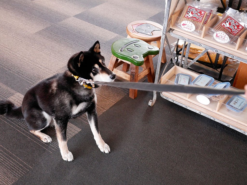 f:id:tsuruten:20210601152232j:plain