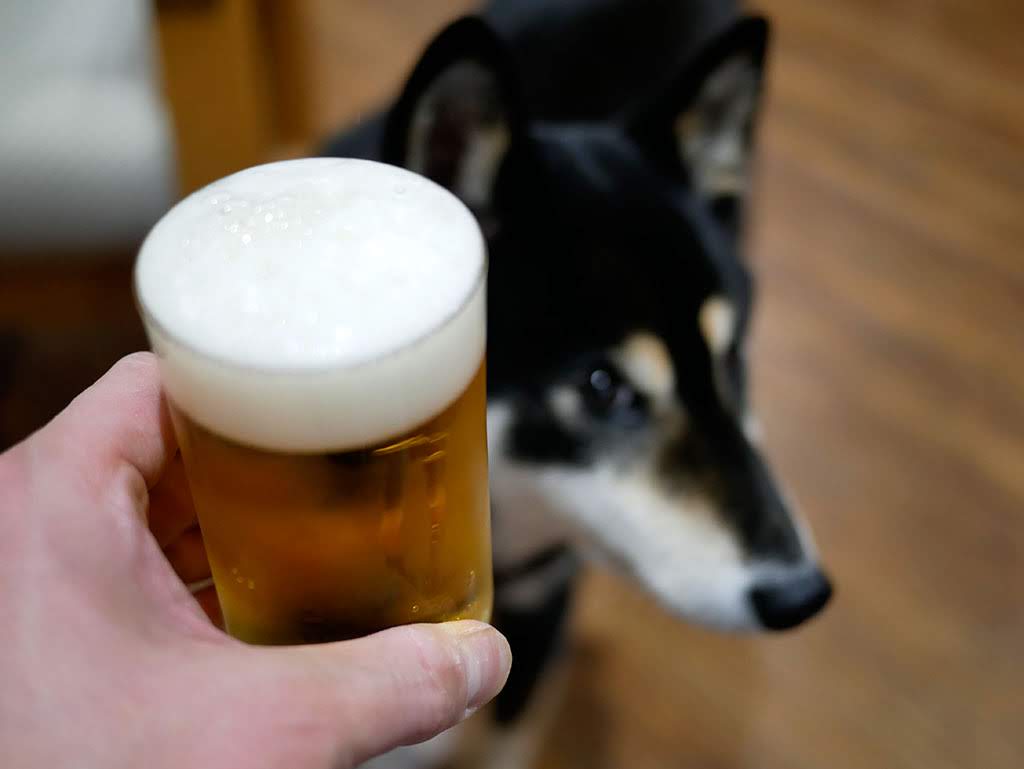 f:id:tsuruten:20210601152321j:plain