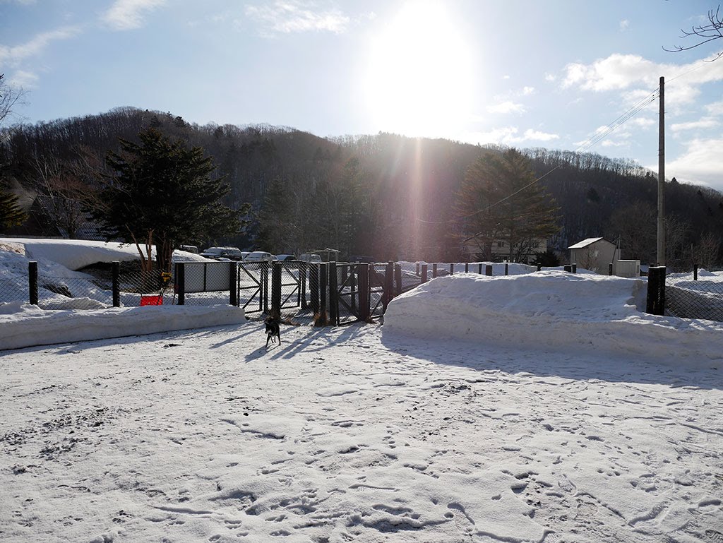 f:id:tsuruten:20210601152333j:plain