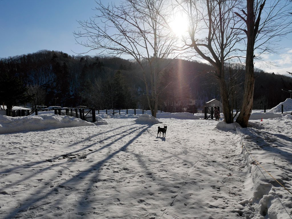 f:id:tsuruten:20210601152344j:plain