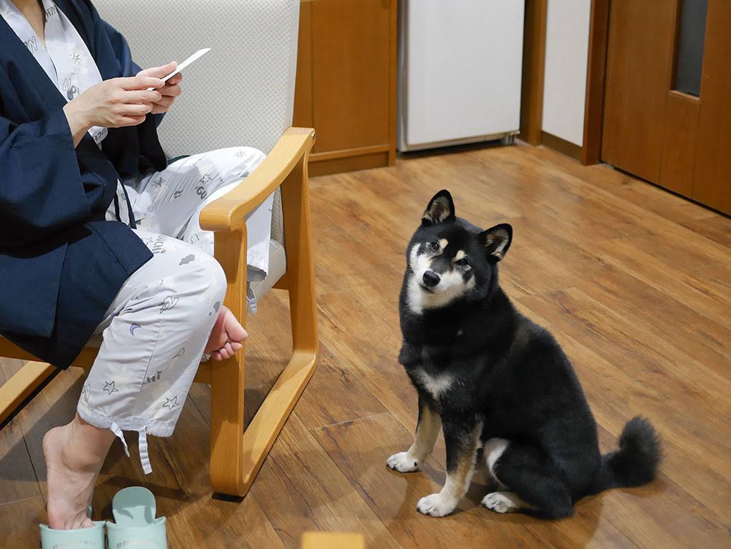 f:id:tsuruten:20210601152416j:plain