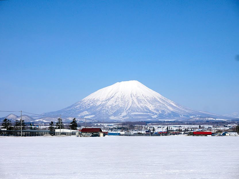 f:id:tsuruten:20210603131458j:plain