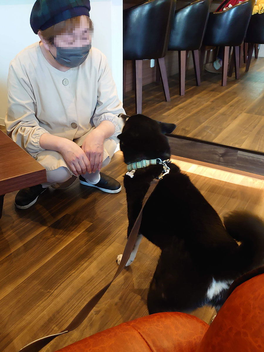 f:id:tsuruten:20210607215757j:plain