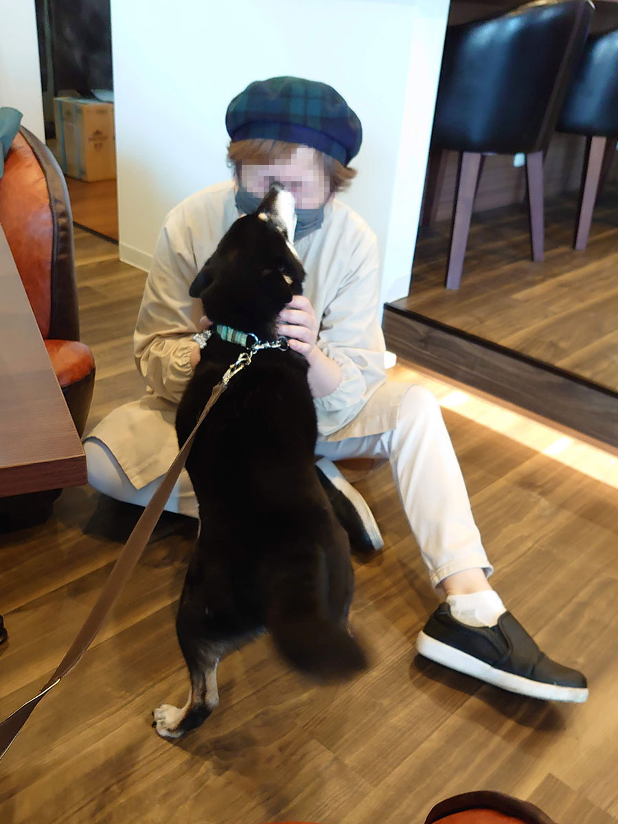 f:id:tsuruten:20210607215801j:plain