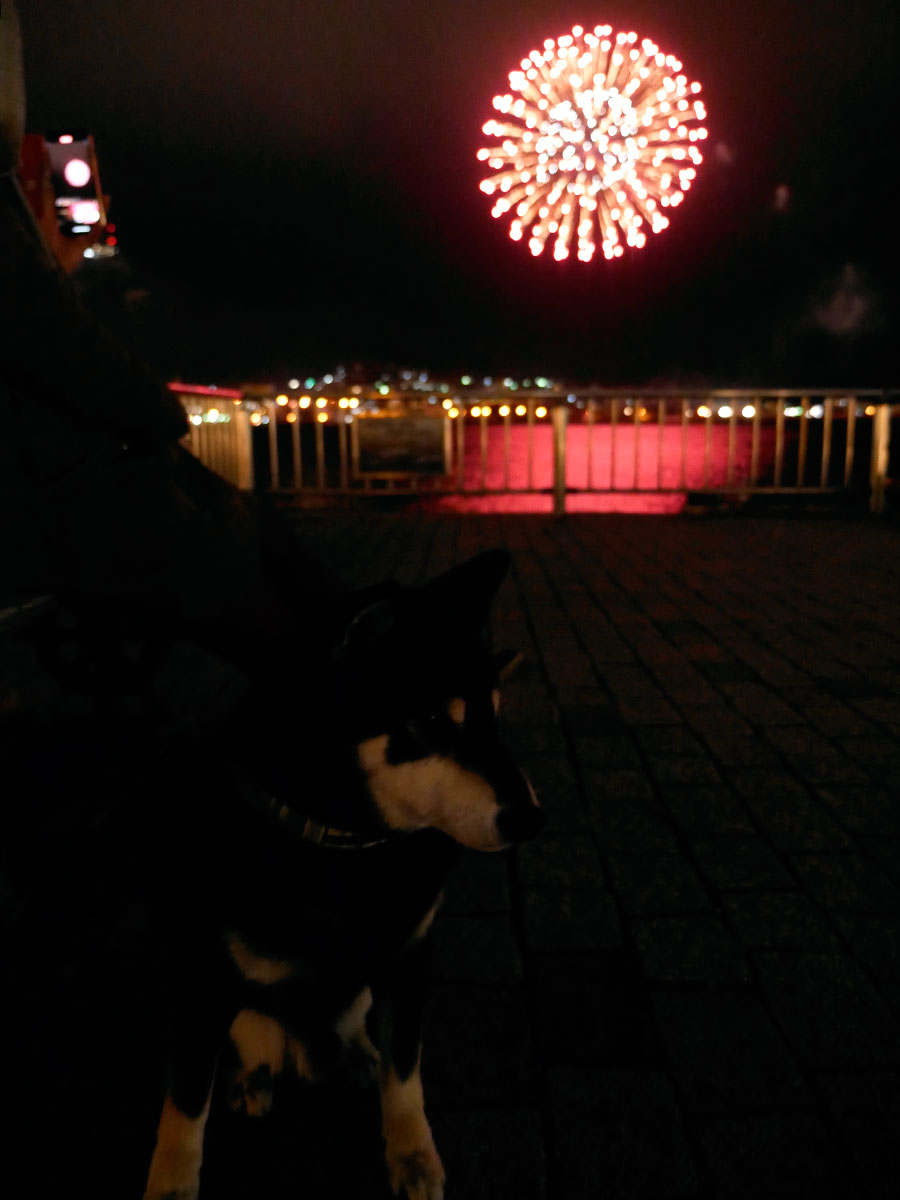 f:id:tsuruten:20210701230829j:plain