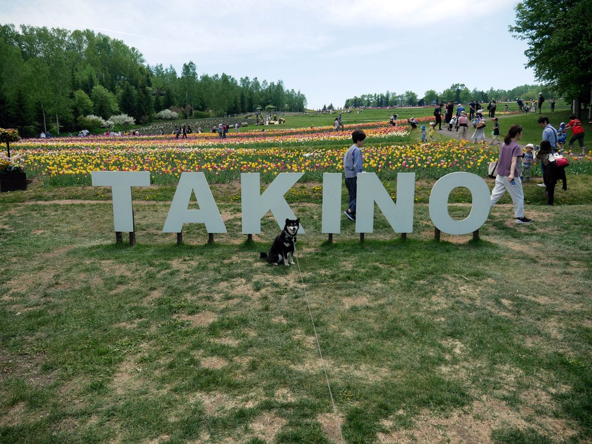 f:id:tsuruten:20210715092527j:plain