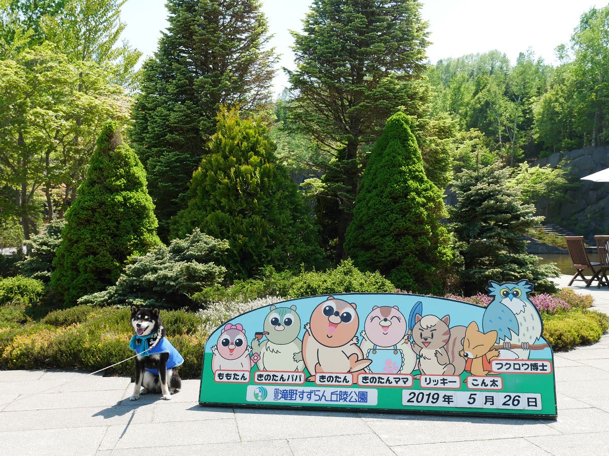 f:id:tsuruten:20210715092659j:plain