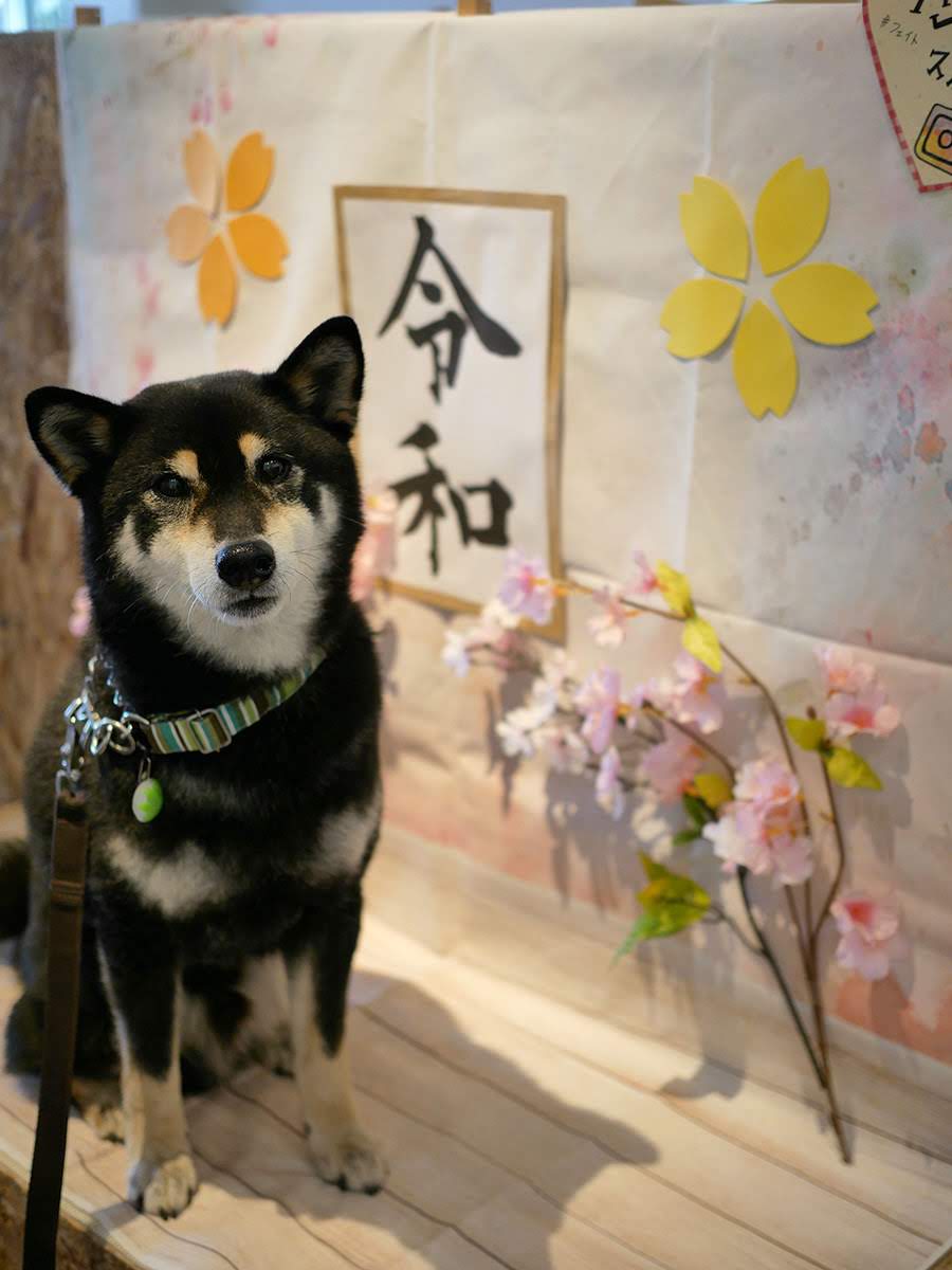 f:id:tsuruten:20210715092747j:plain