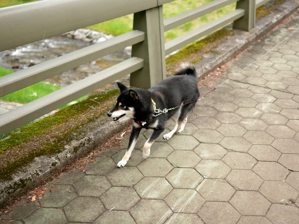 f:id:tsuruten:20210729094152j:plain