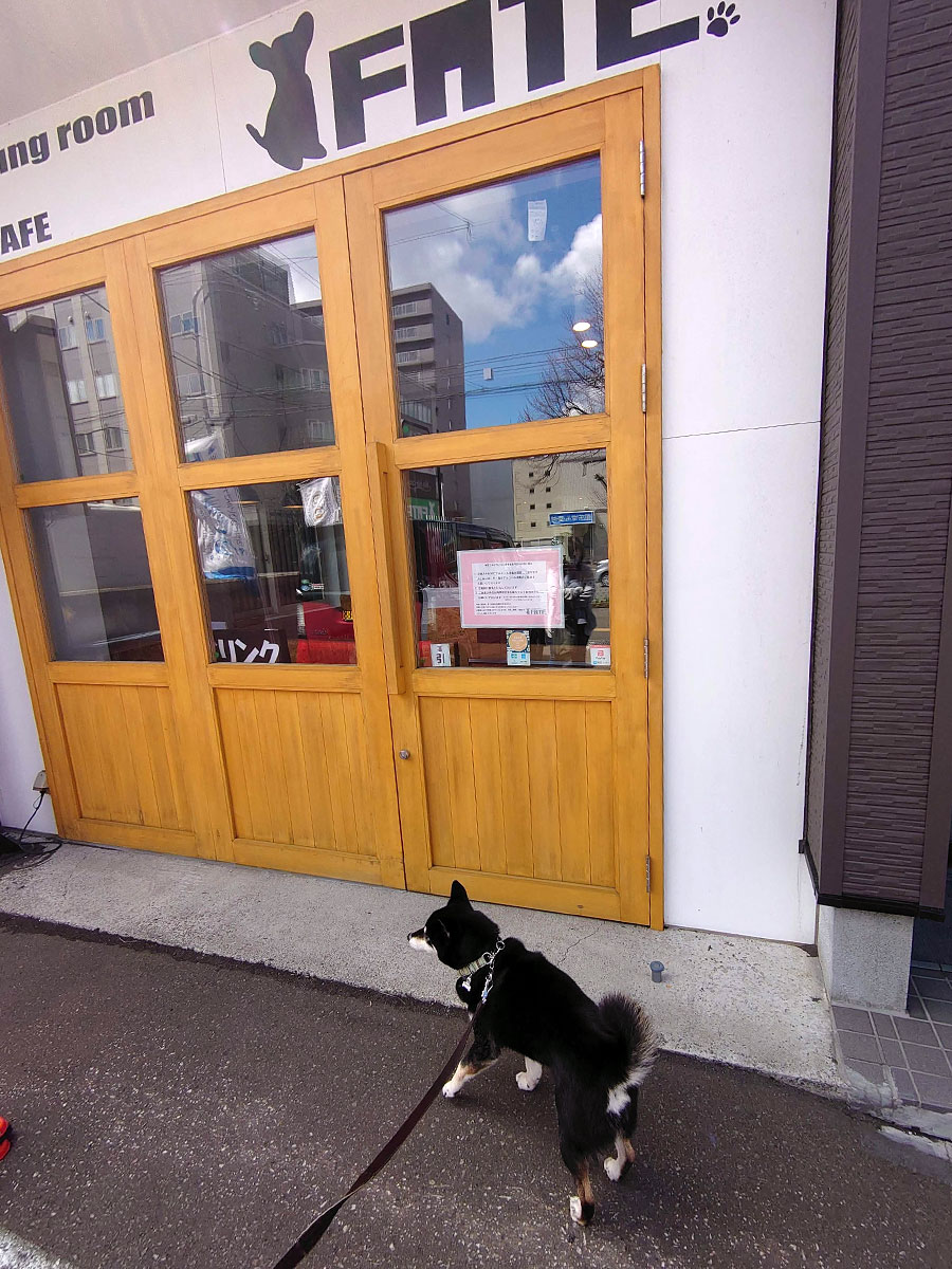 f:id:tsuruten:20210801165640j:plain