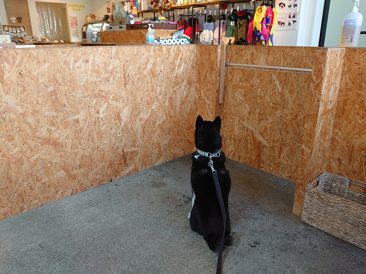 f:id:tsuruten:20210801165644j:plain