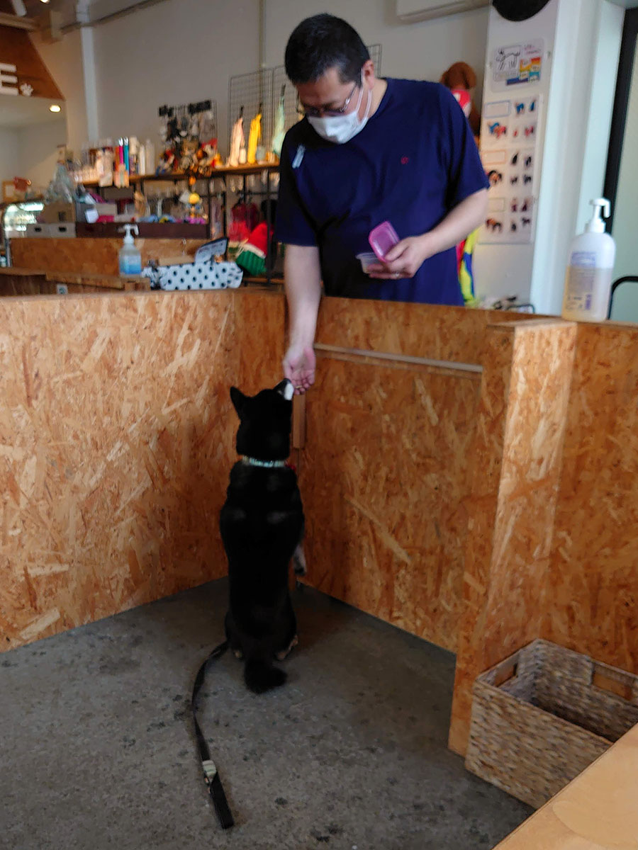 f:id:tsuruten:20210801165706j:plain