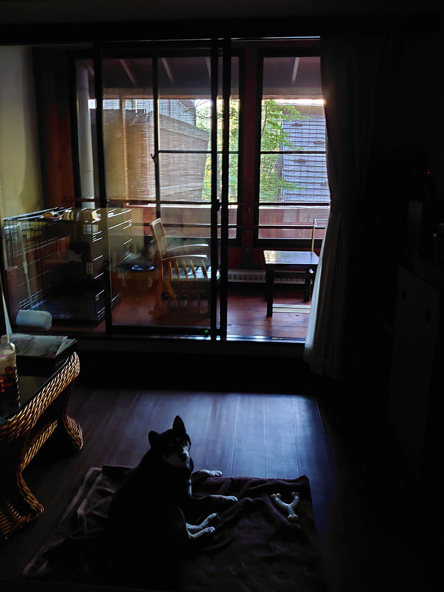 f:id:tsuruten:20211205201353j:plain