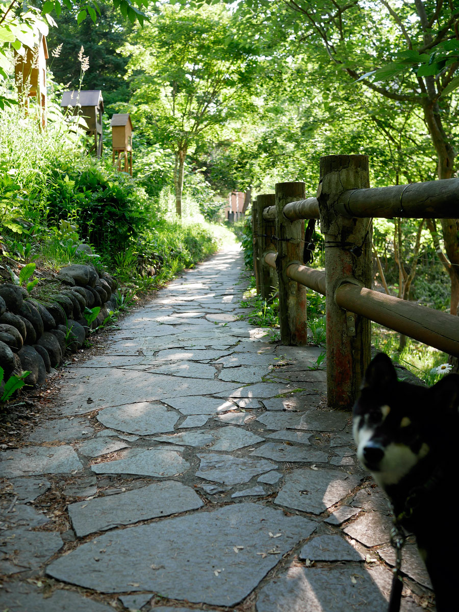f:id:tsuruten:20211205201402j:plain