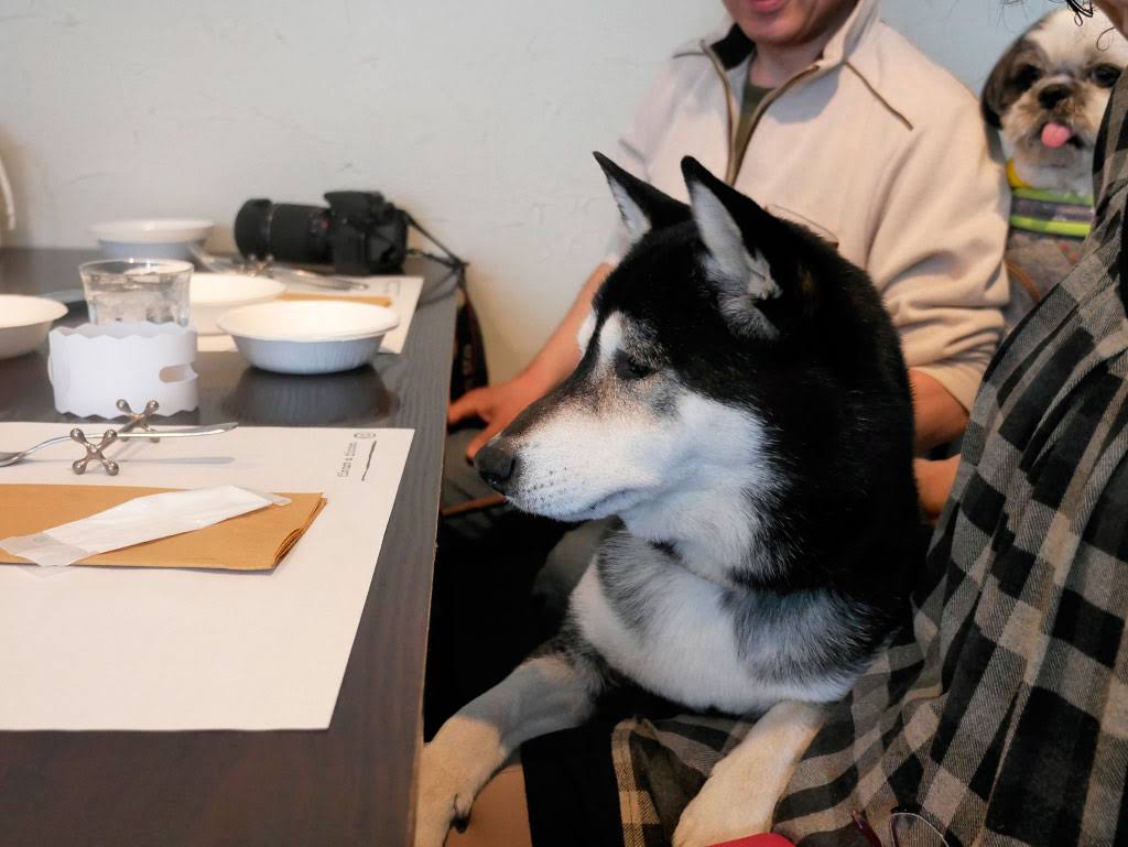 f:id:tsuruten:20211206122005j:plain