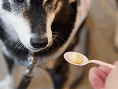 f:id:tsuruten:20211218232755g:plain