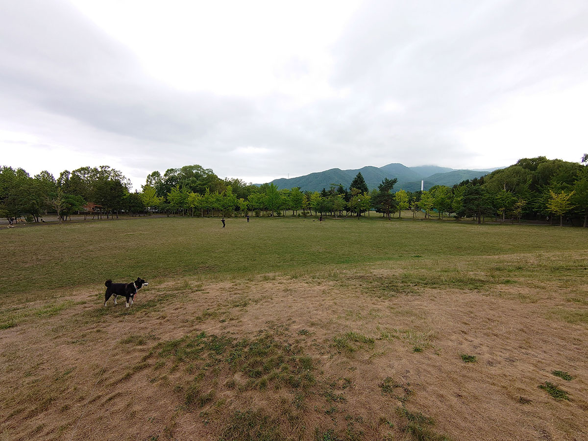 f:id:tsuruten:20220108165553j:plain