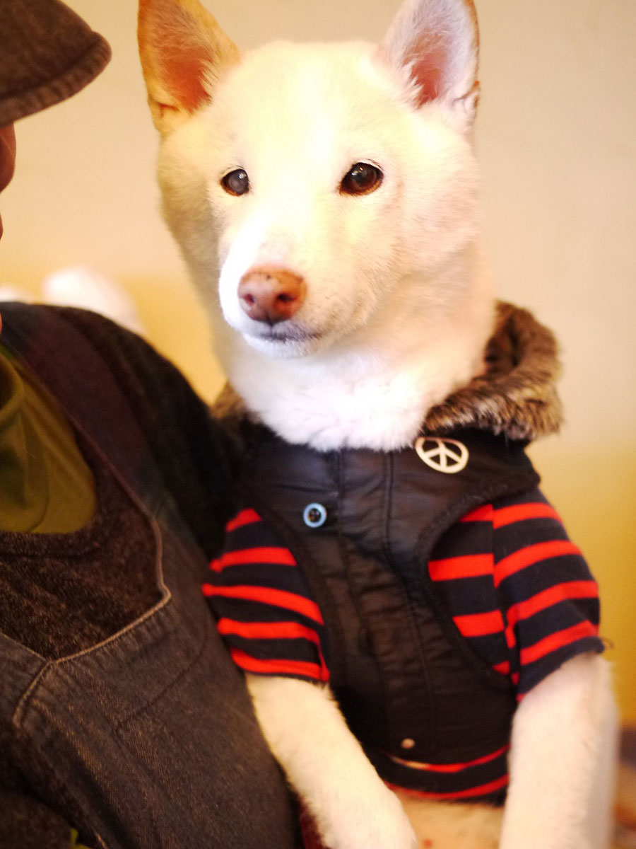 f:id:tsuruten:20220108172418j:plain