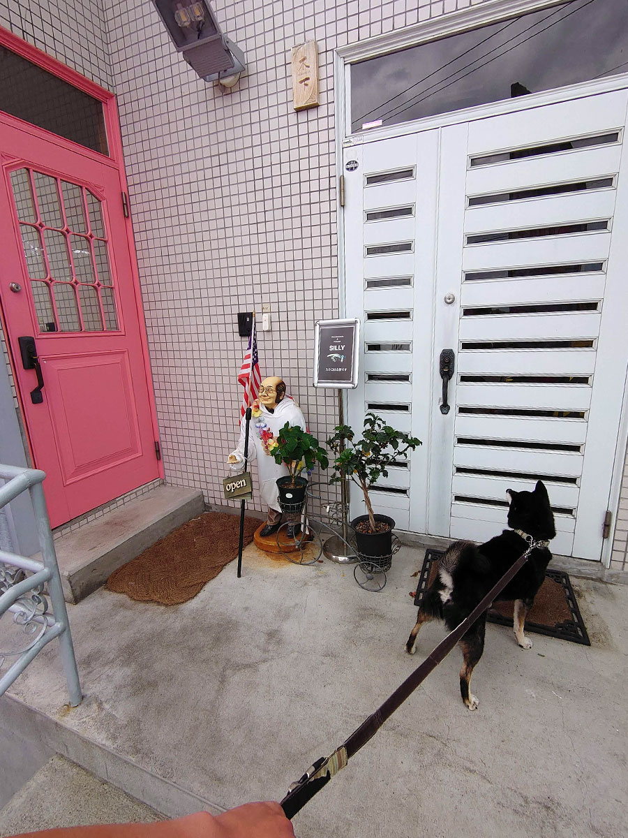 f:id:tsuruten:20220108174505j:plain