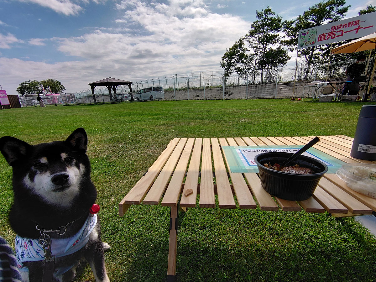 f:id:tsuruten:20220110180418j:plain