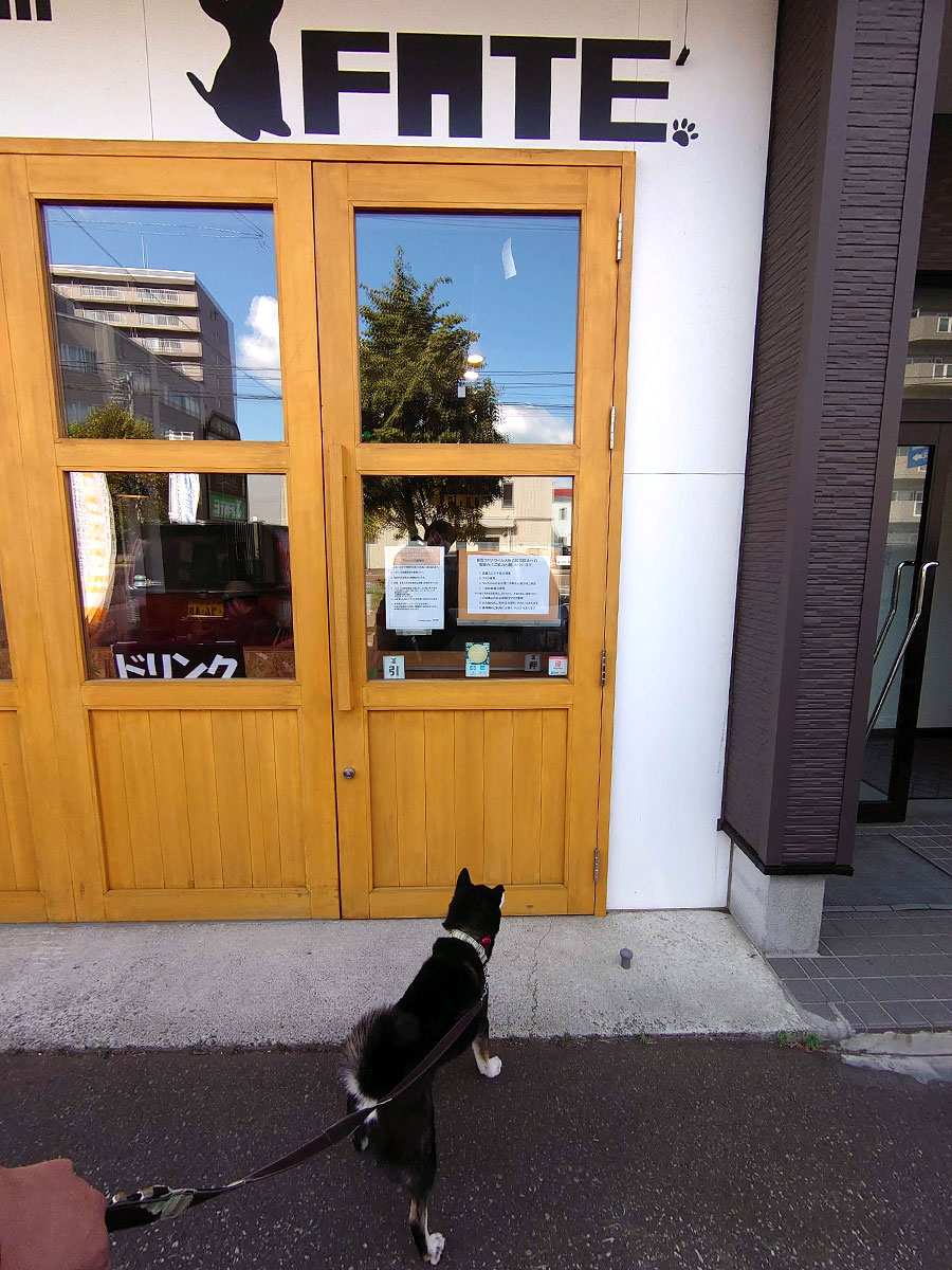 f:id:tsuruten:20220115235955j:plain