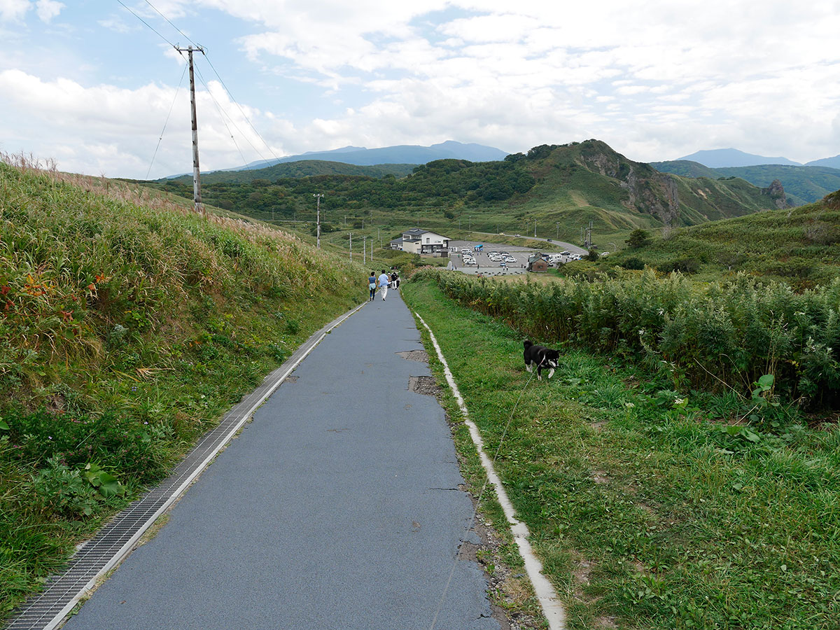 f:id:tsuruten:20220121220316j:plain