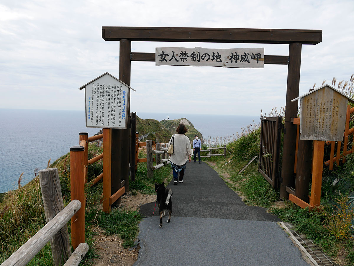 f:id:tsuruten:20220121220322j:plain