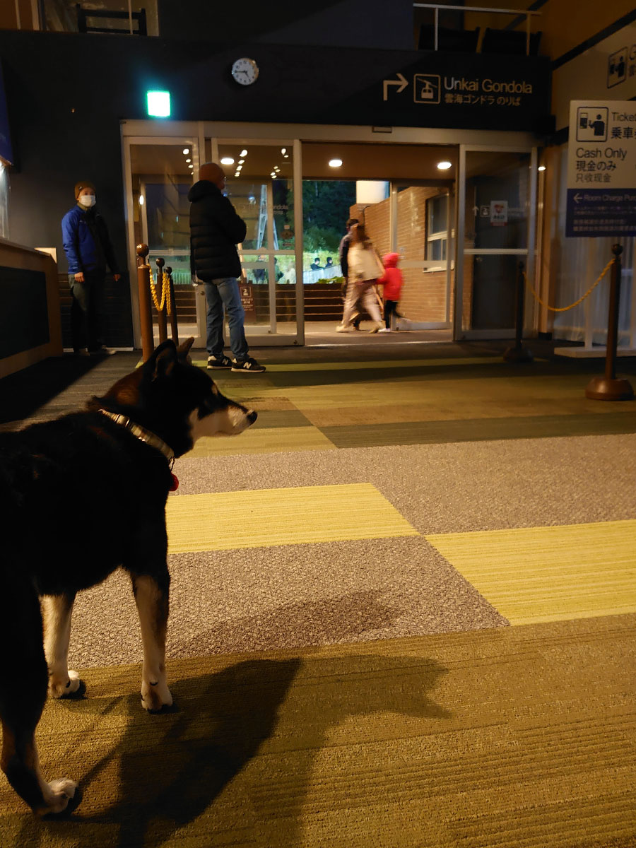 f:id:tsuruten:20220130200110j:plain