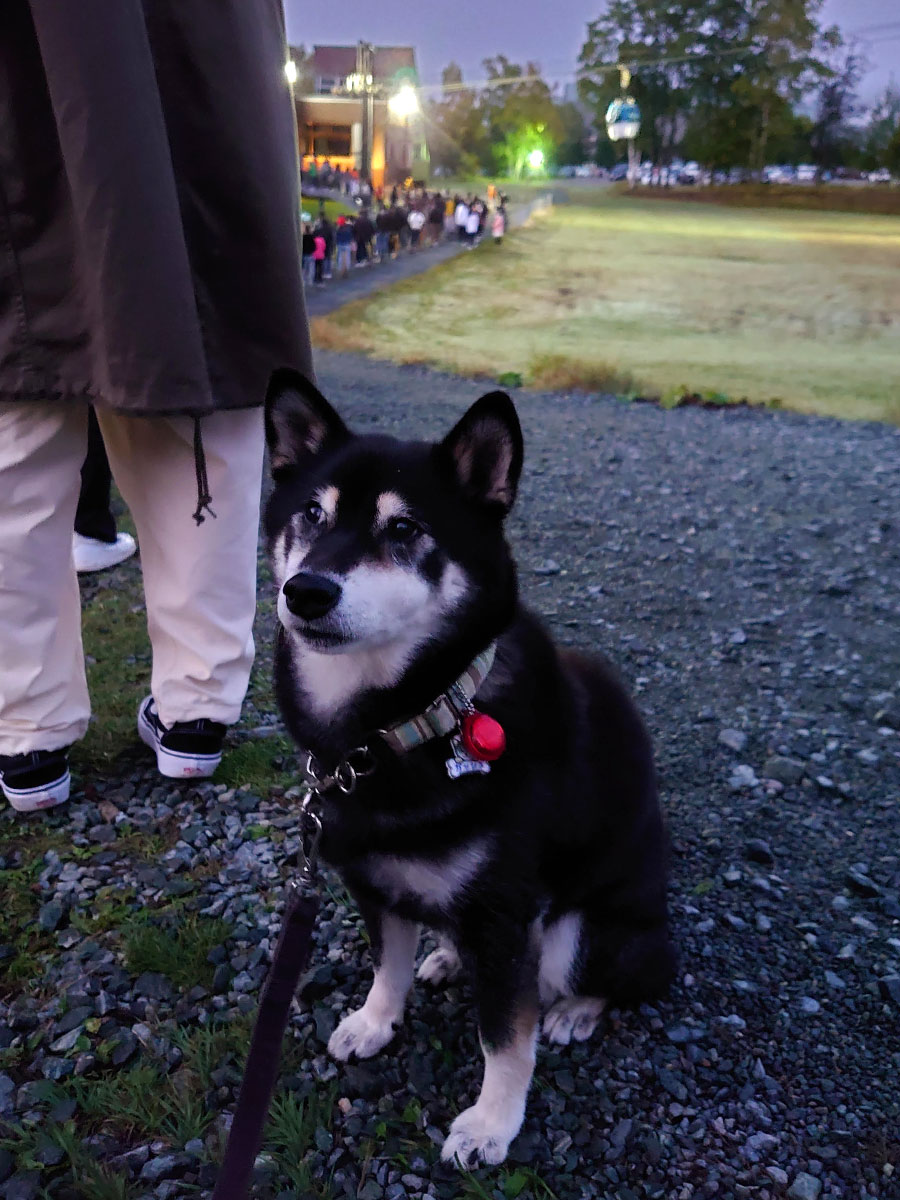 f:id:tsuruten:20220130200116j:plain
