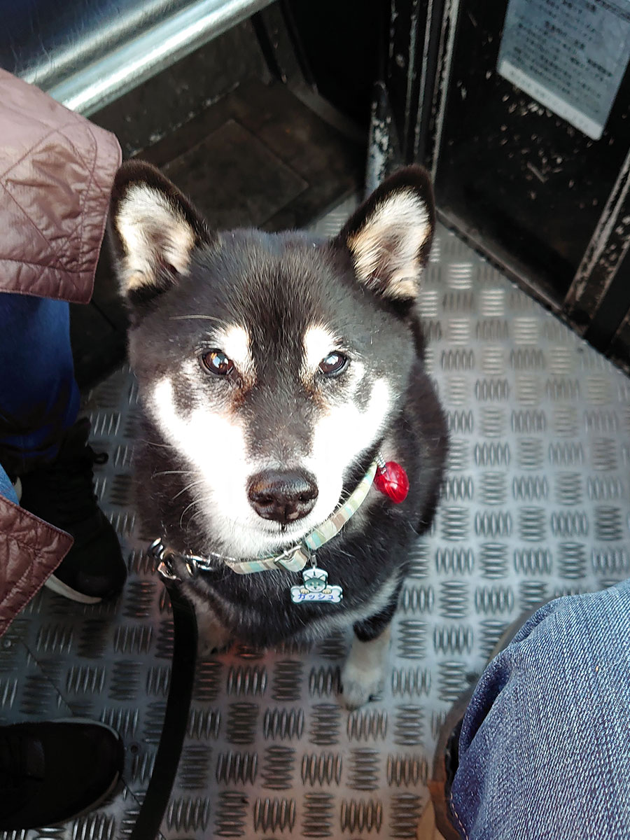 f:id:tsuruten:20220130200132j:plain