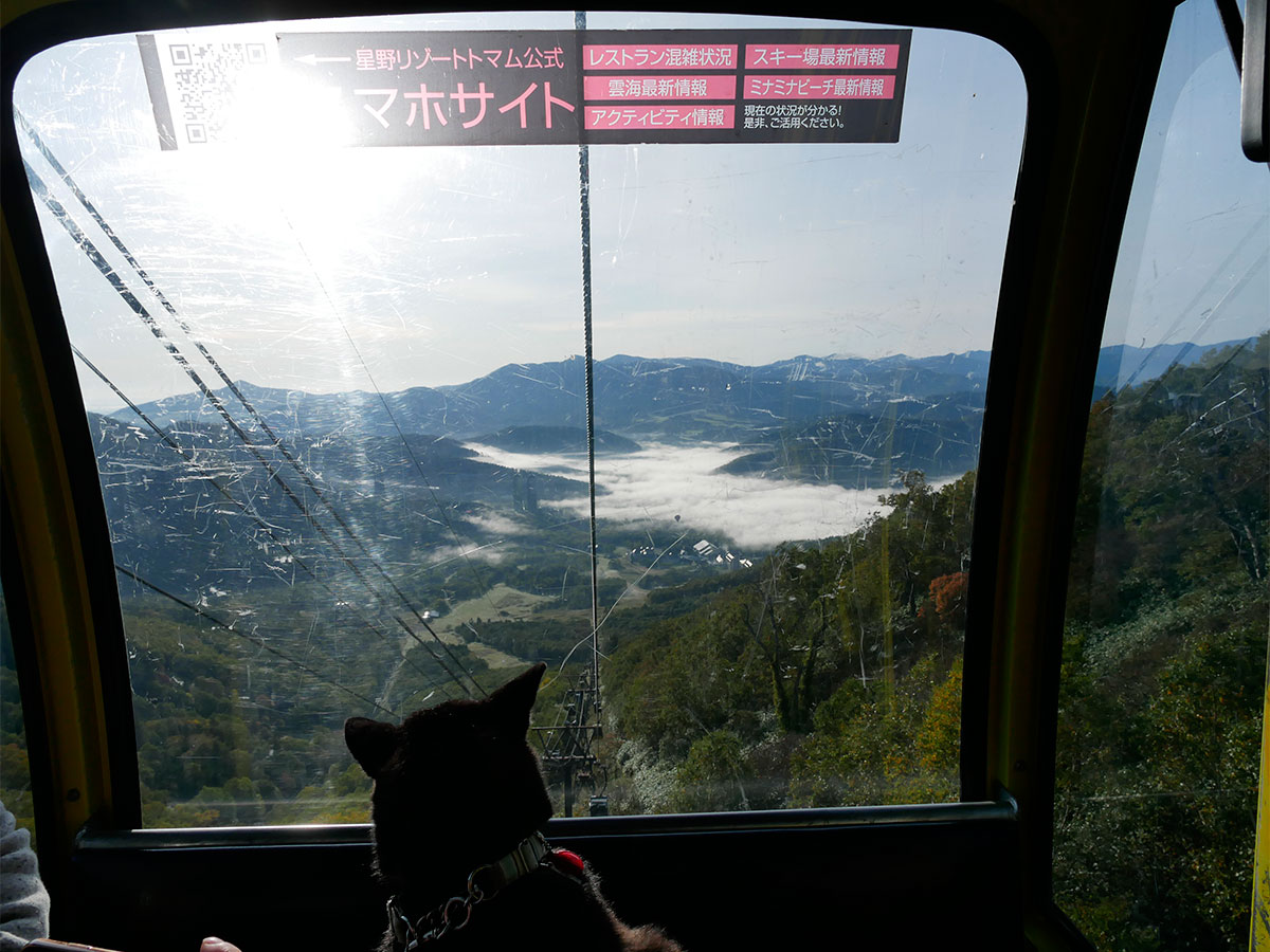 f:id:tsuruten:20220130200226j:plain
