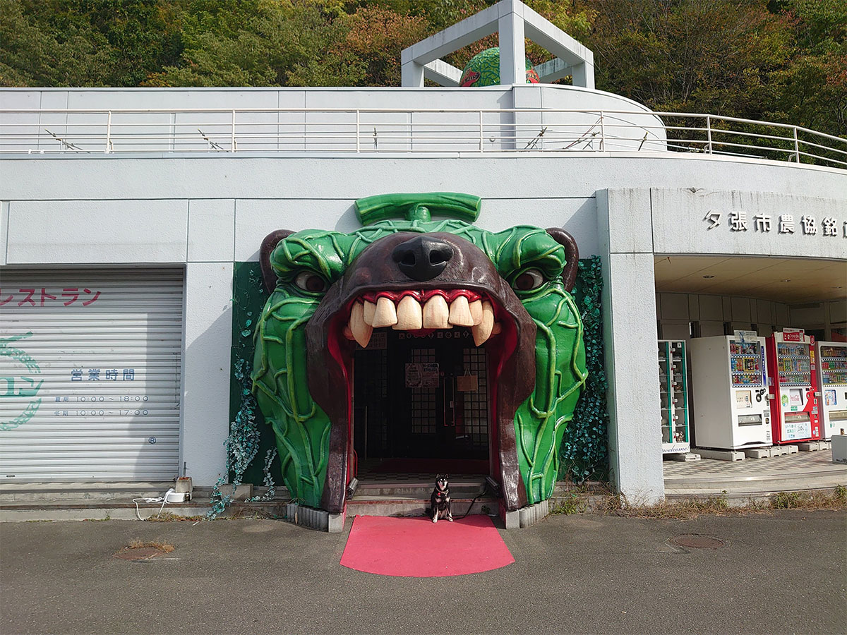 f:id:tsuruten:20220130200228j:plain