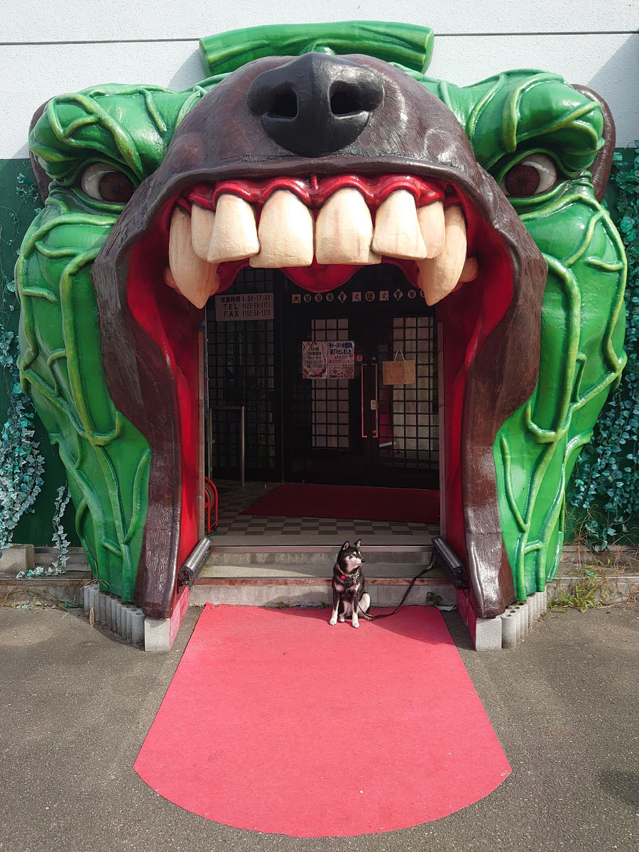 f:id:tsuruten:20220130200231j:plain