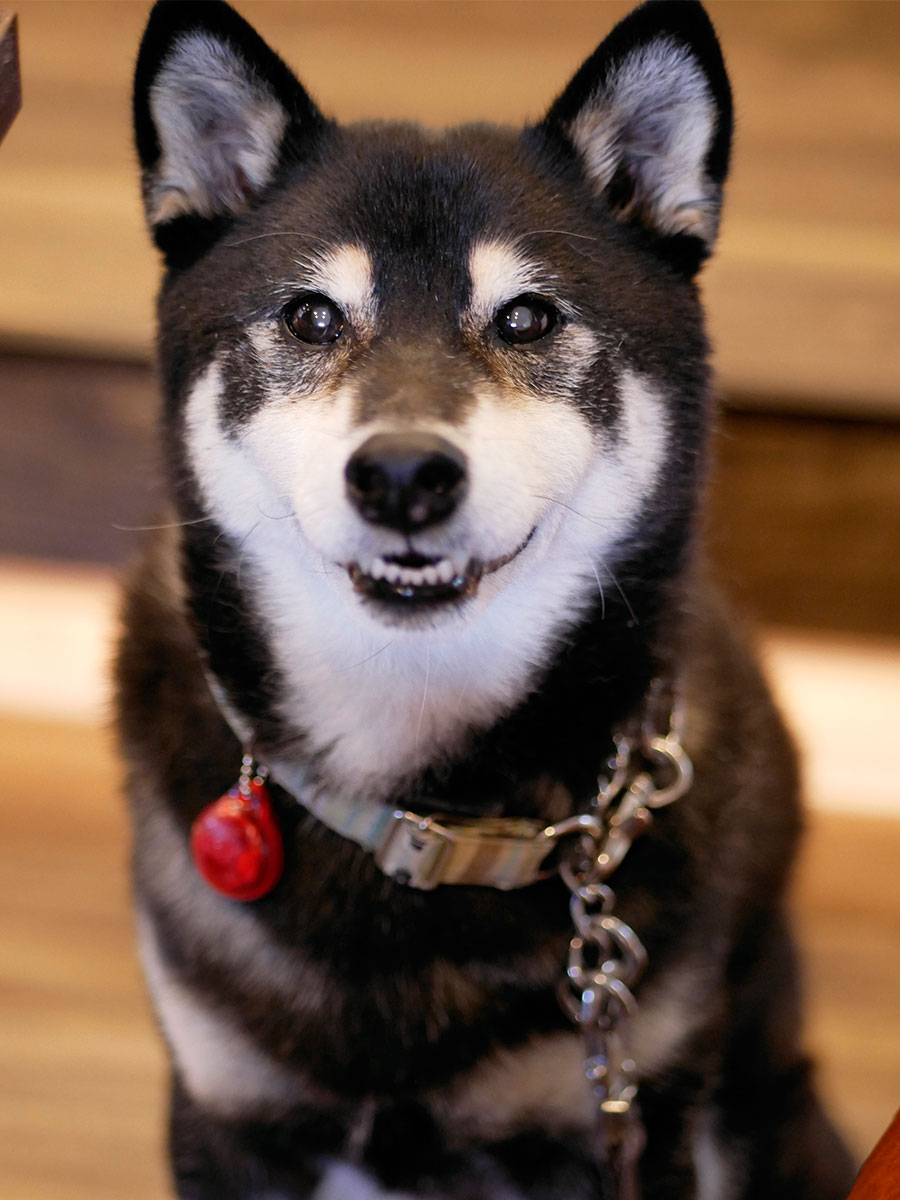f:id:tsuruten:20220219224052j:plain