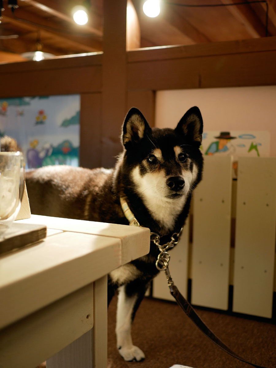 f:id:tsuruten:20220220202201j:plain