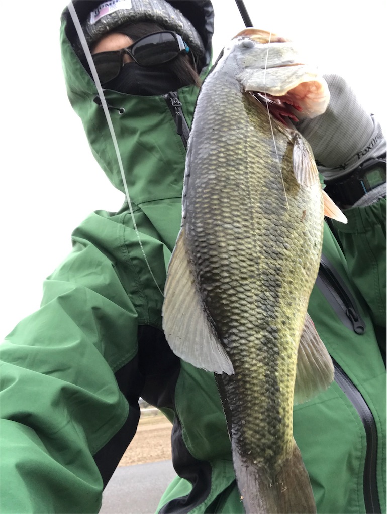 f:id:tsurutsurunaomem:20190329170615j:image f:id:tsurutsurunaomem:20190329170615j:image