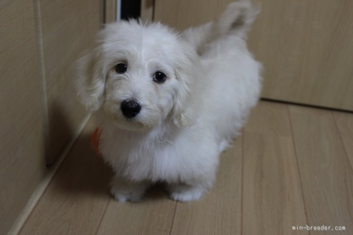 f:id:tsusa-sora:20190513155605j:plain f:id:tsusa-sora:20190513155605j:plain