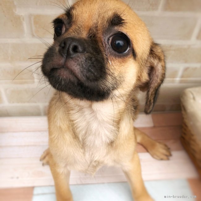 f:id:tsusa-sora:20190513160425j:plain f:id:tsusa-sora:20190513160425j:plain