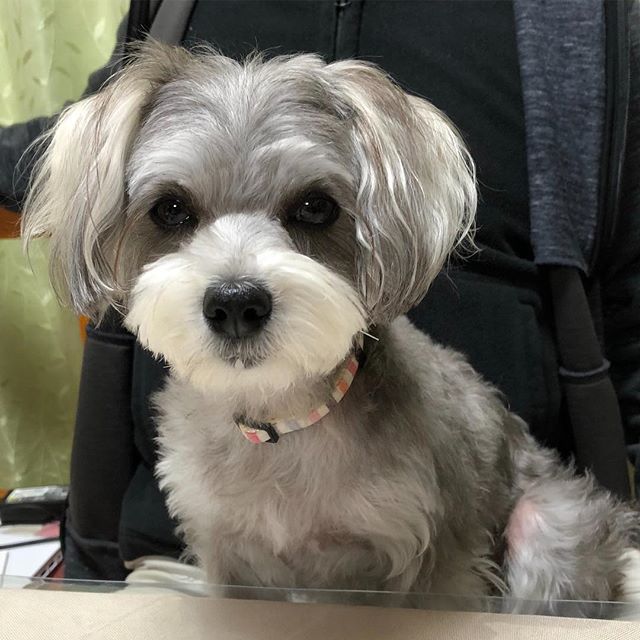 f:id:tsusa-sora:20190513160907j:plain f:id:tsusa-sora:20190513160907j:plain