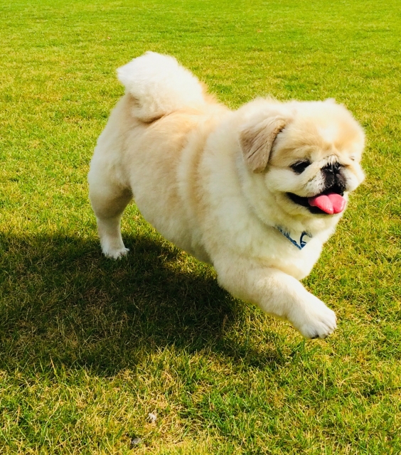 f:id:tsusa-sora:20190513161715j:plain f:id:tsusa-sora:20190513161715j:plain