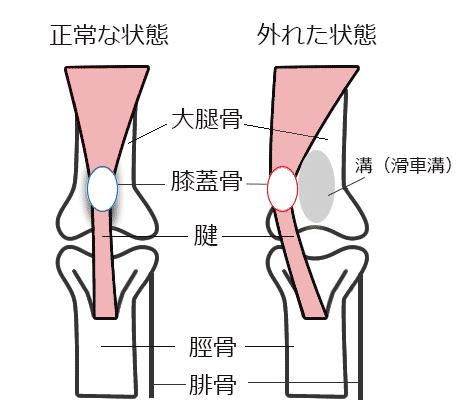 f:id:tsusa-sora:20190702153454p:plain f:id:tsusa-sora:20190702153454p:plain