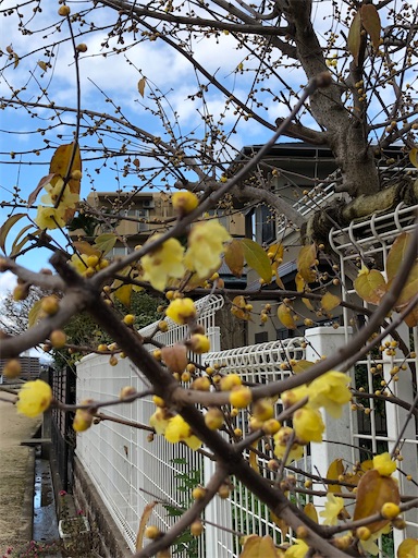 f:id:tsusa-sora:20200102234952j:image f:id:tsusa-sora:20200102234952j:image