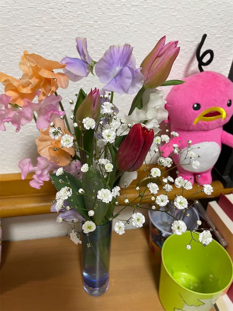 f:id:tsusa-sora:20220209232819j:image f:id:tsusa-sora:20220209232819j:image