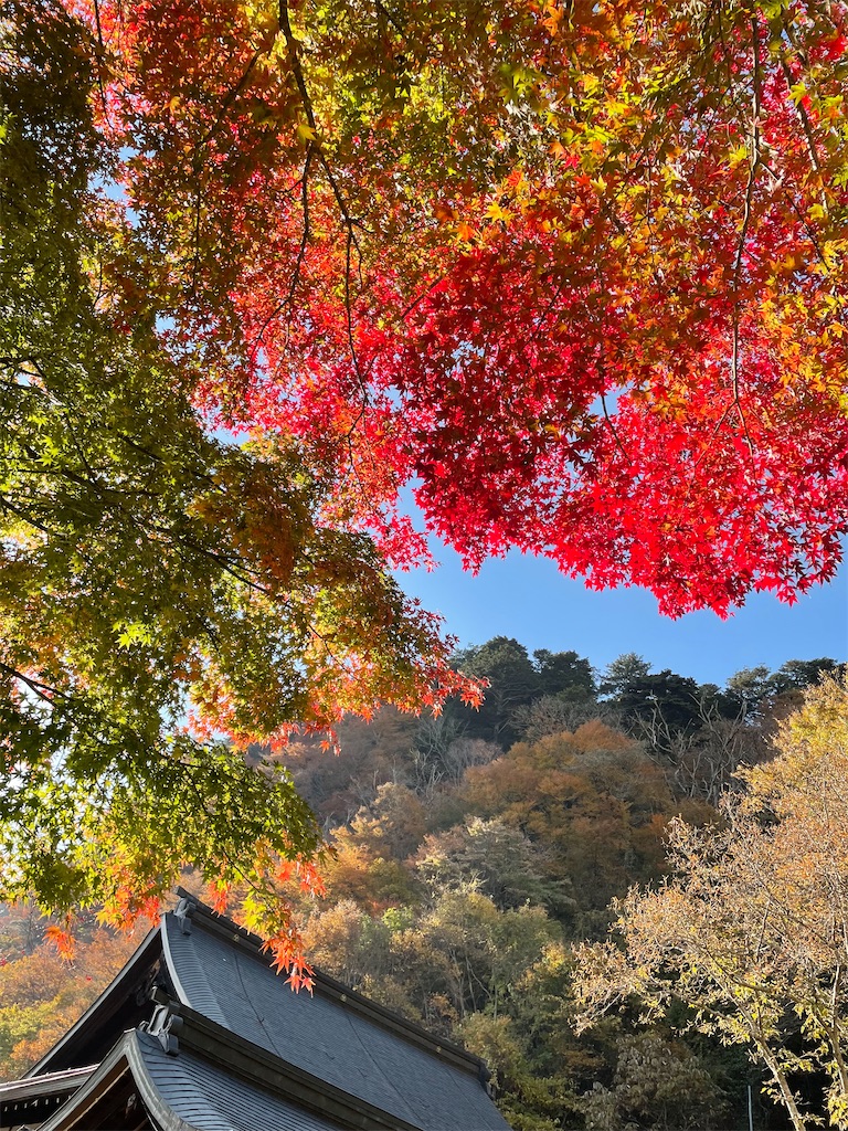 f:id:tsusa-sora:20221106234547j:image f:id:tsusa-sora:20221106234547j:image