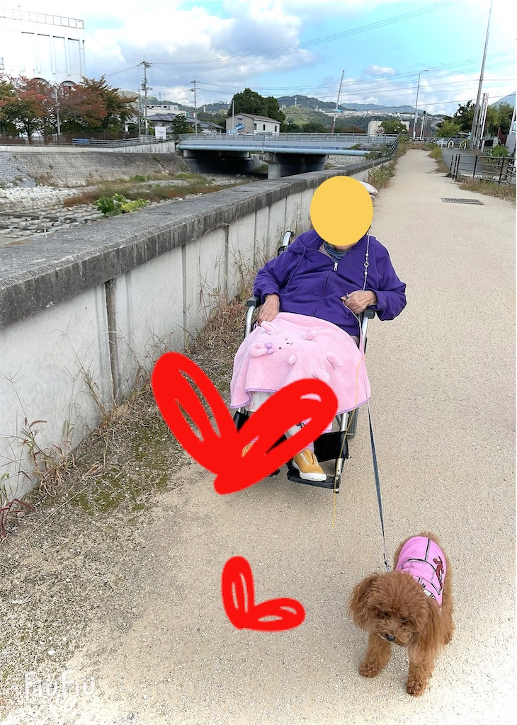 f:id:tsusa-sora:20221107001053j:image f:id:tsusa-sora:20221107001053j:image