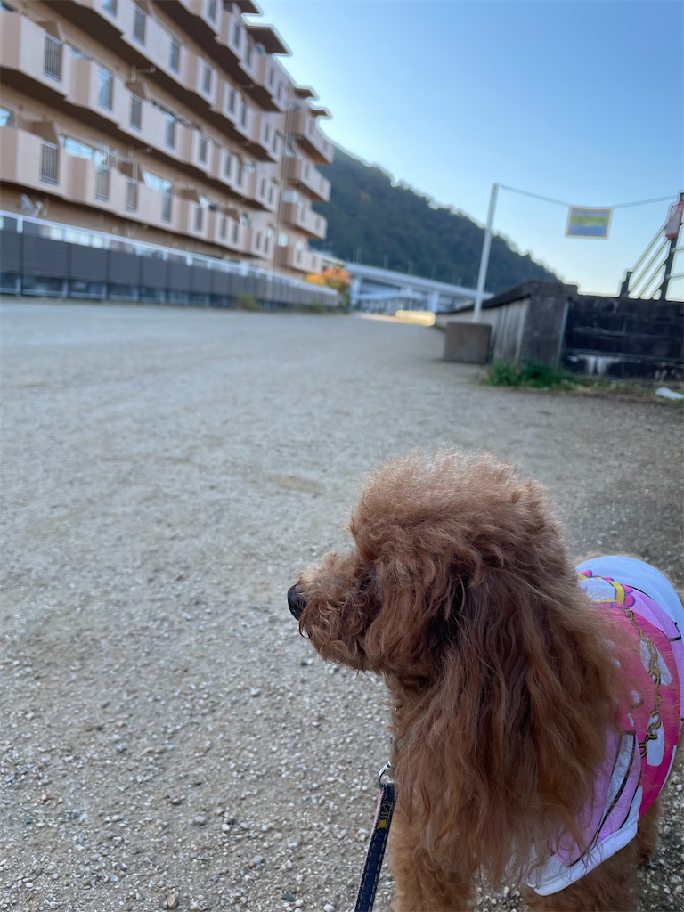 f:id:tsusa-sora:20221107005224j:image f:id:tsusa-sora:20221107005224j:image