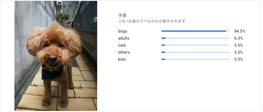f:id:tsutoutakehara:20200424104246p:plain:w500