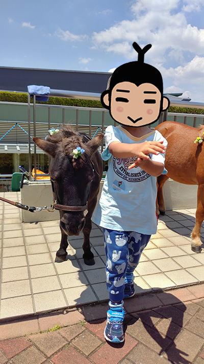 f:id:tsutsukayo:20180605230803j:plain f:id:tsutsukayo:20180605230803j:plain