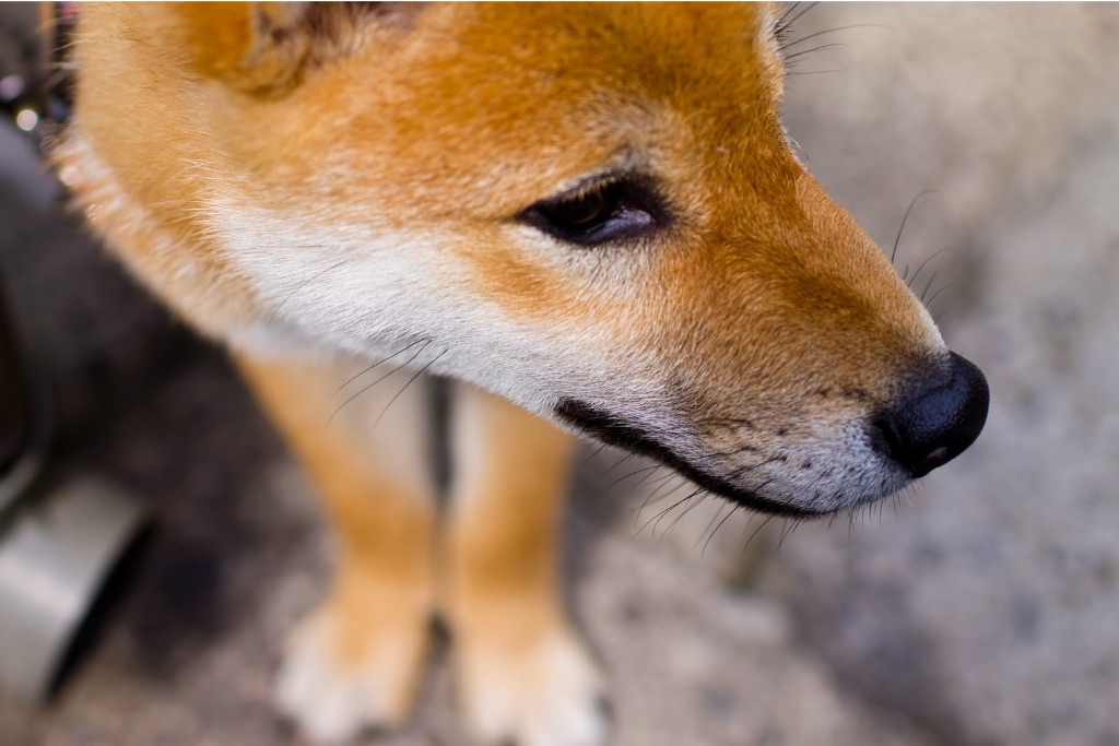 f:id:tsutsumi000lifework:20161030124709j:image f:id:tsutsumi000lifework:20161030124709j:image